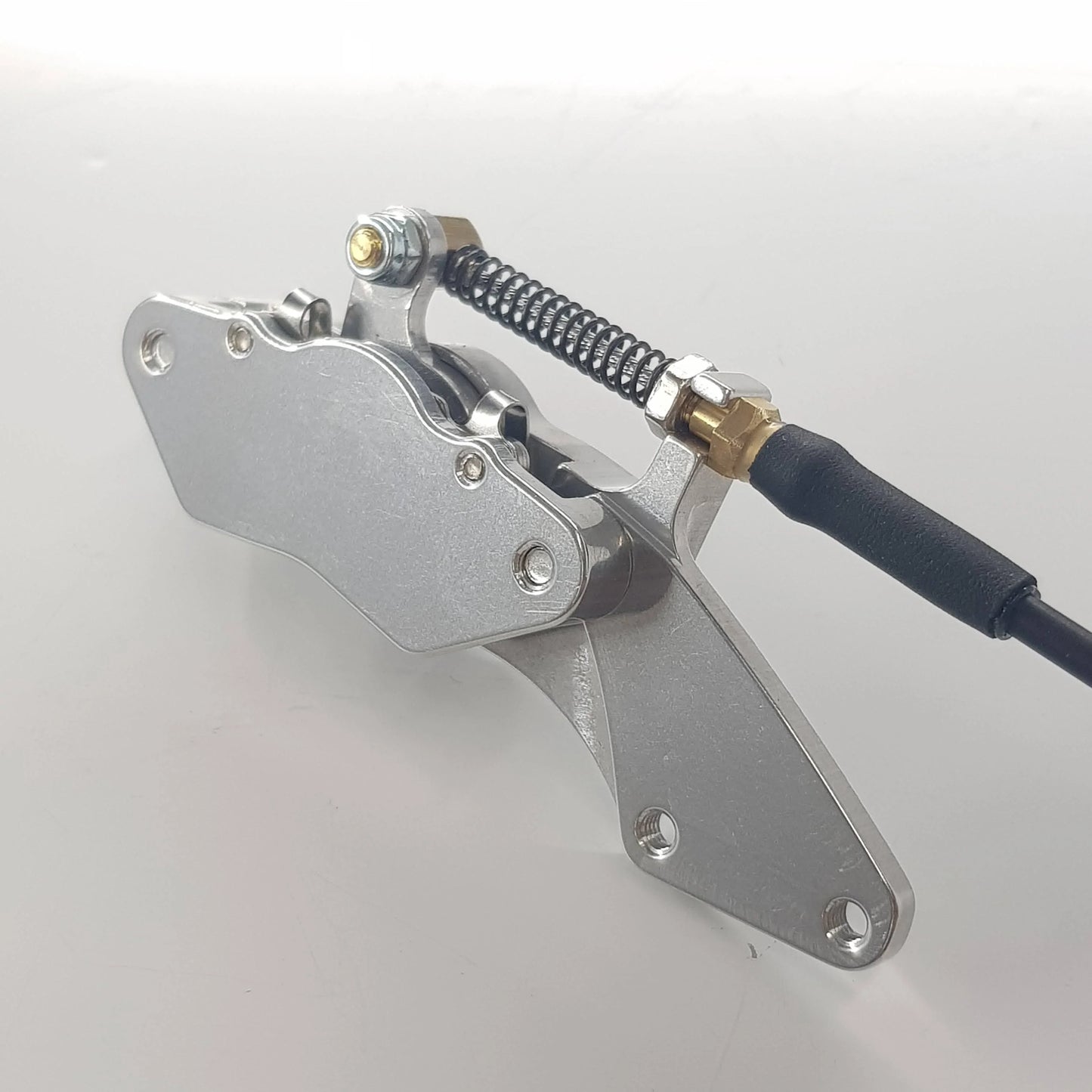 Disc brake LARGE for WEMO chassis