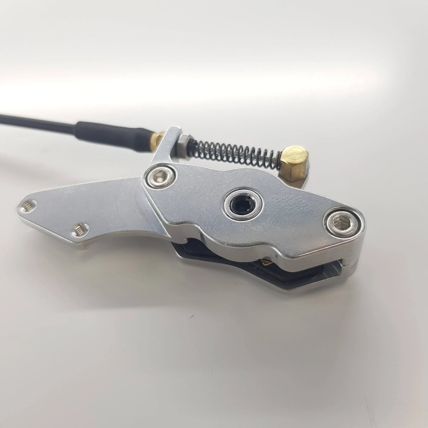 Disc brake LARGE for WEMO chassis