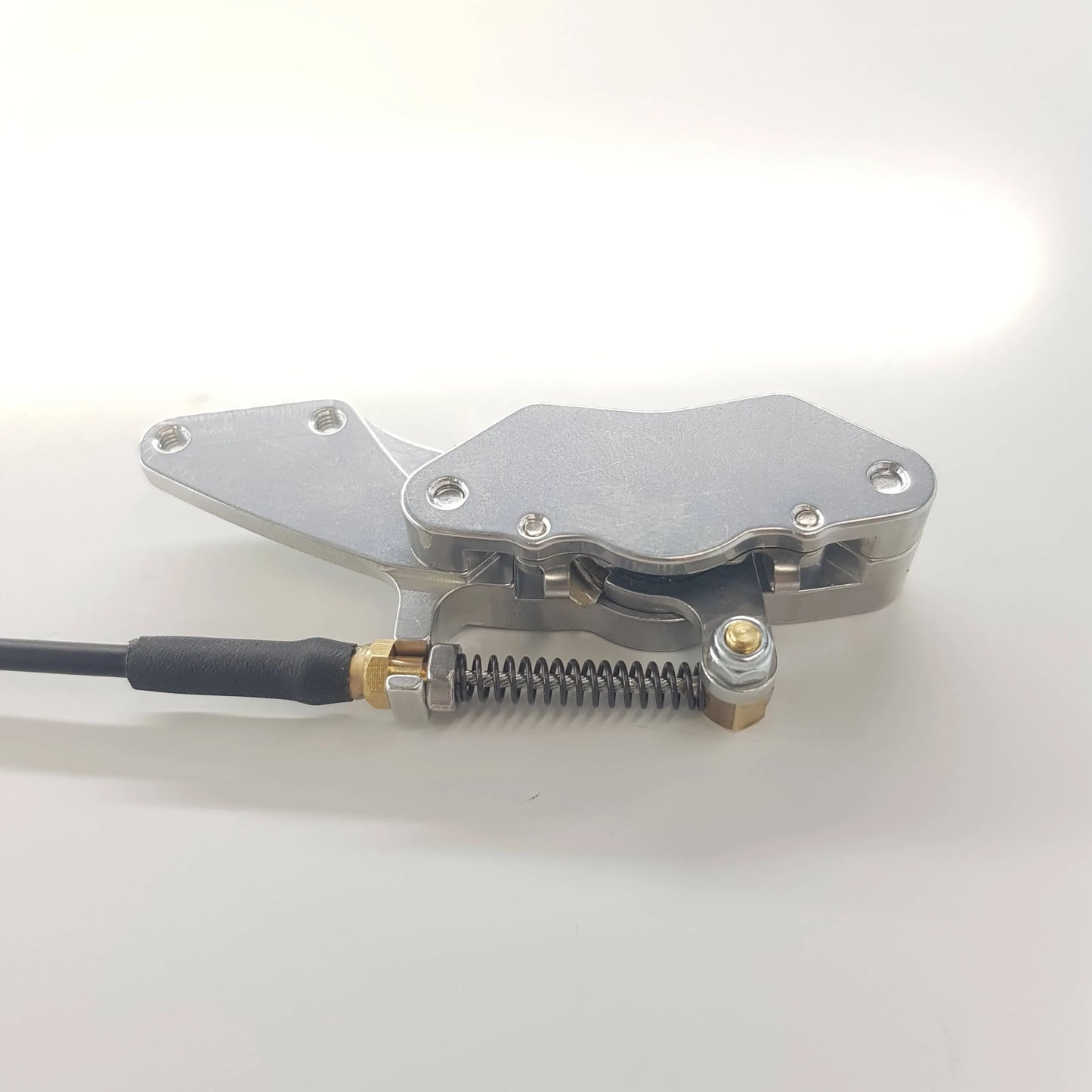 Disc brake LARGE for WEMO chassis